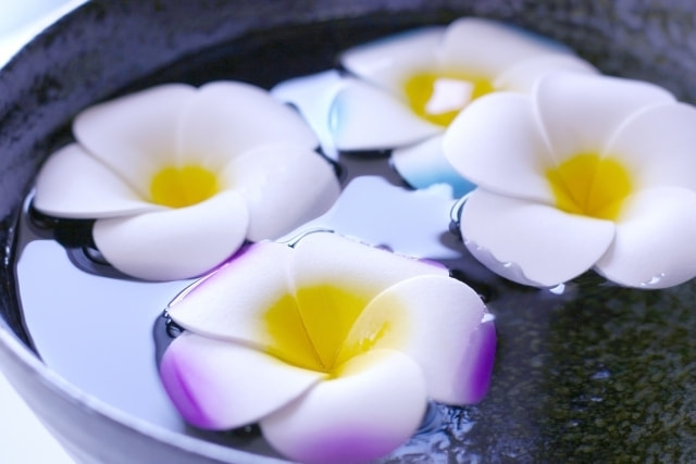 水鉢に浮かべられたプルメリアの花々