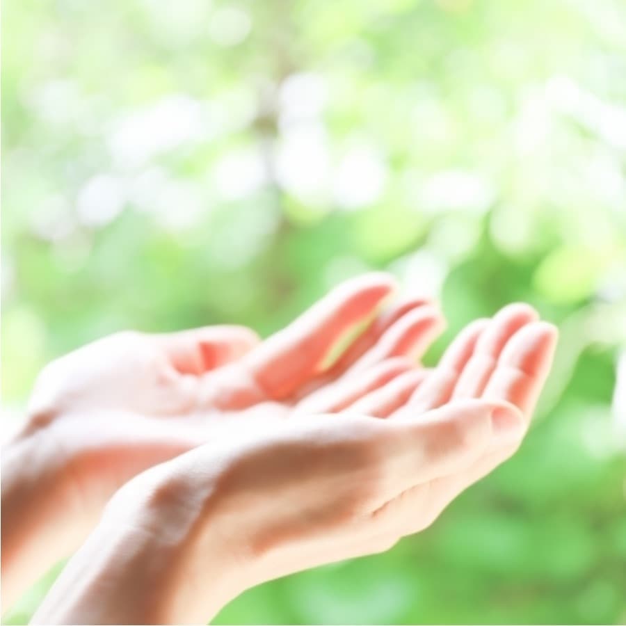 エネルギーを感じさせる美しく差し出された両手